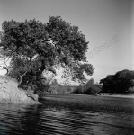 River Ure near Masham